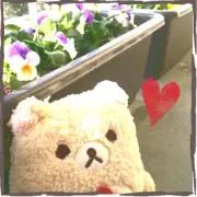 のん★引っ越しに伴い格安出品中★の画像