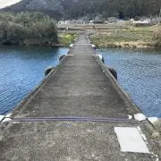kamo