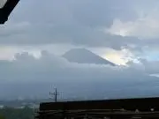 てばさきの画像