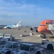 Hanaの画像