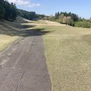 アーリーの画像