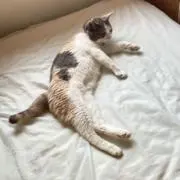 笠原ひろみ