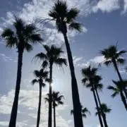 なつのすけ