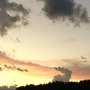 なっつの画像
