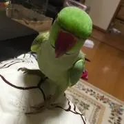 れ～～