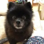 みかの画像