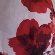 rienda爆2の画像