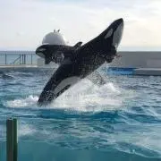 れみなの画像