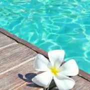 みみ＊プロフィールの確認をお願い致しますの画像