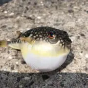 EーKUN
