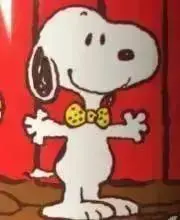スーちゃんの画像