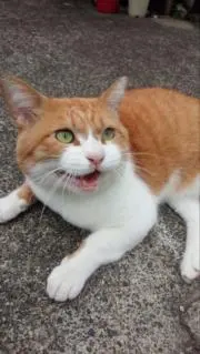 ニコ✪プロフも見てねの画像