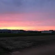 貝柱