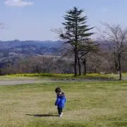 shu-mamaの画像