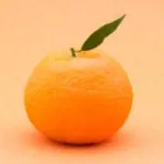 みかんの画像