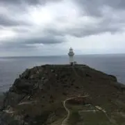 ウッドベリーの画像