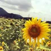 chie⋆︎*【即購入OK】の画像
