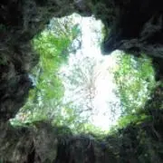 kopigの画像