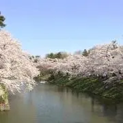 みさみさの画像