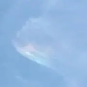 ゆみち