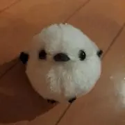 みるくの画像