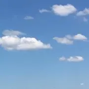shiroの画像
