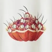 小エビちゃんの画像