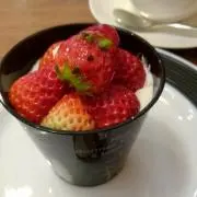 こぐま