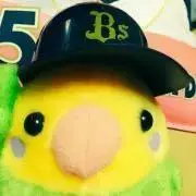 yukakitiの画像