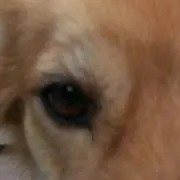 ちゃちゃお☆プロフ必読の画像