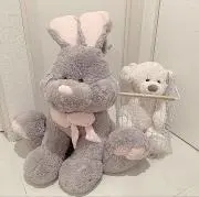 K5の画像