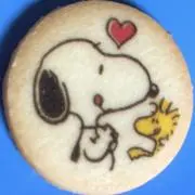 Image of robin