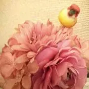 Kanaの画像
