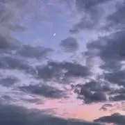 mimの画像