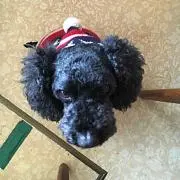 まあ