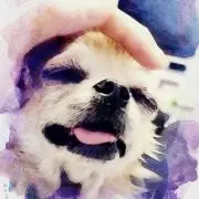 makaの画像