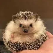 プロフ必見☆hiroの画像