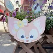 Pochの画像