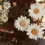 えぱ