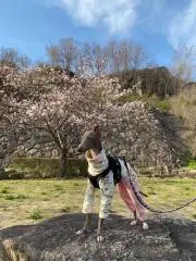 ぶらん
