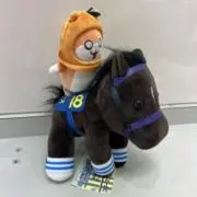 ふぃじーの画像