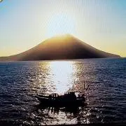 はくの画像