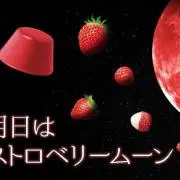 すいの画像