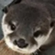 もう勇者しないの画像
