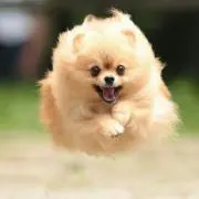 Sora♪