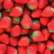 新品☆ブラデリス アイリーン F65 M ブラショーツセット ラベンダー 花