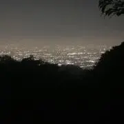 リの画像