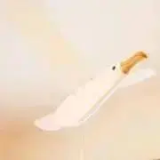 ヘビーメロウの画像