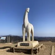 もものすけ