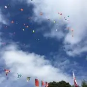 透子